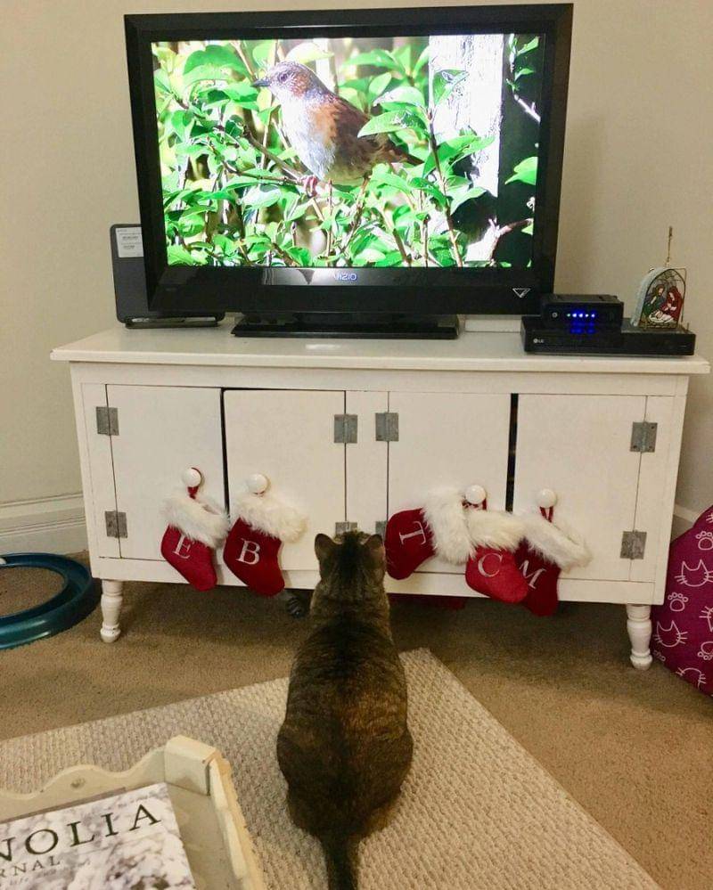 reddit.com/user/mrsconder